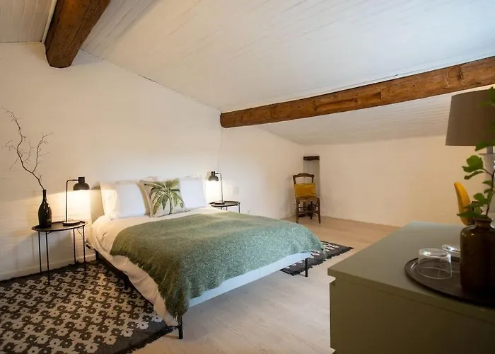 Lovely House With Courtyard And Terrace Near Canal Du Midi