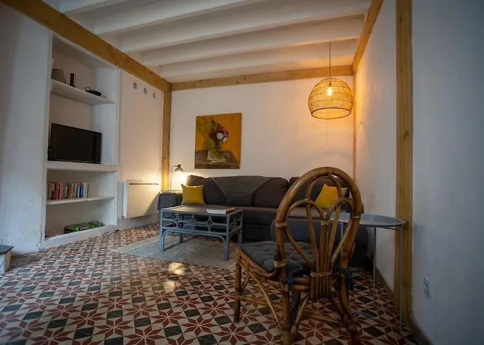 Lovely House With Courtyard And Terrace Near Canal Du Midi